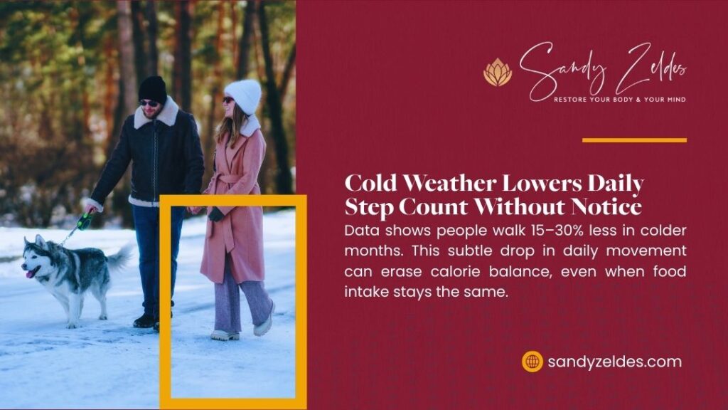 Graphic from Sandy Zeldes showing a couple in winter coats walking a husky dog in snowy woods, titled "Cold Weather Lowers Daily Step Count Without Notice." Text states data shows 15-30% less walking in colder months, subtly impacting calorie balance despite unchanged food intake.